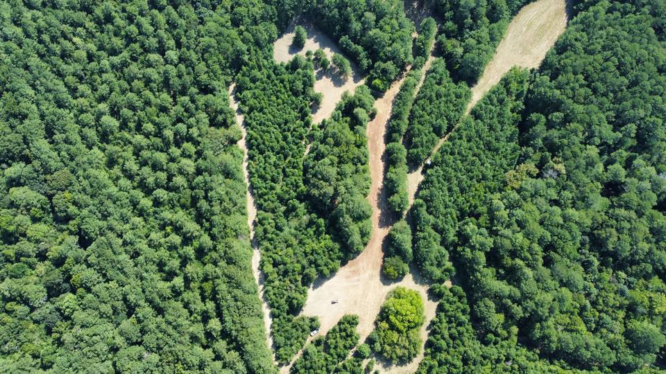 Aerial of a cleared trail through the woods