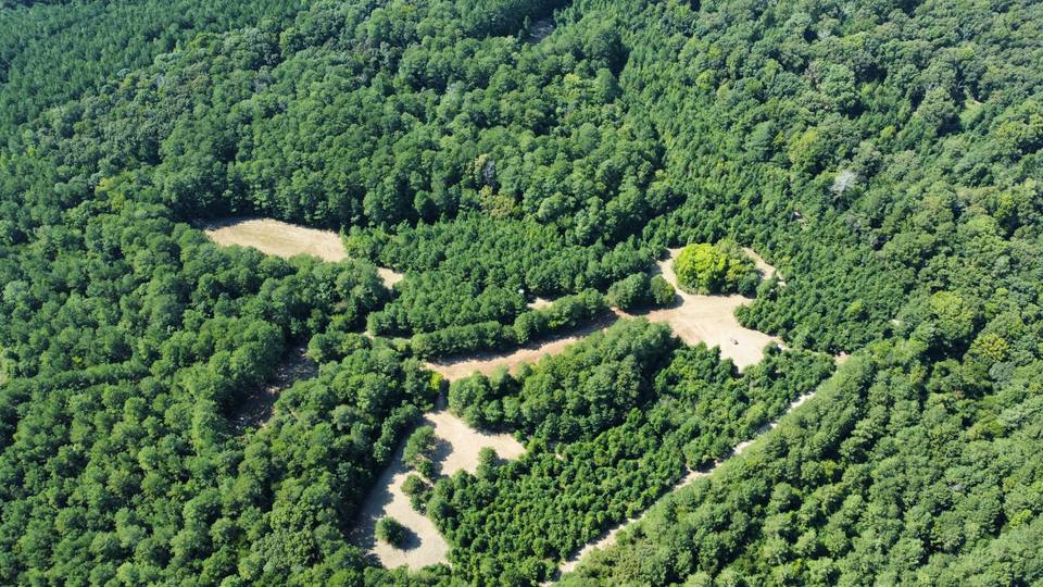 Aerial of cleared pads linked by trails