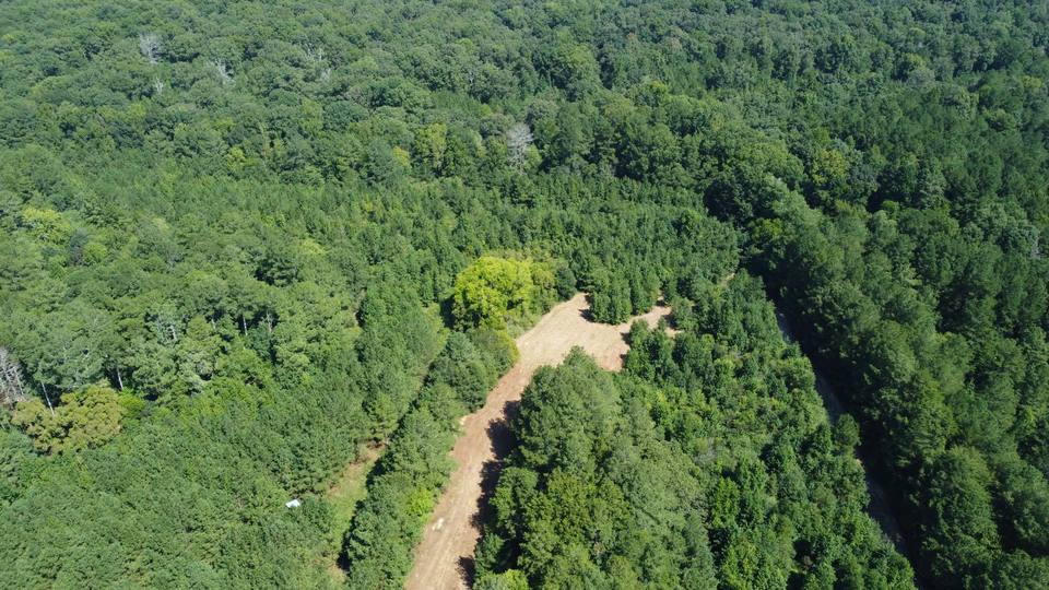 Aerial of a cleared trail through pine woods