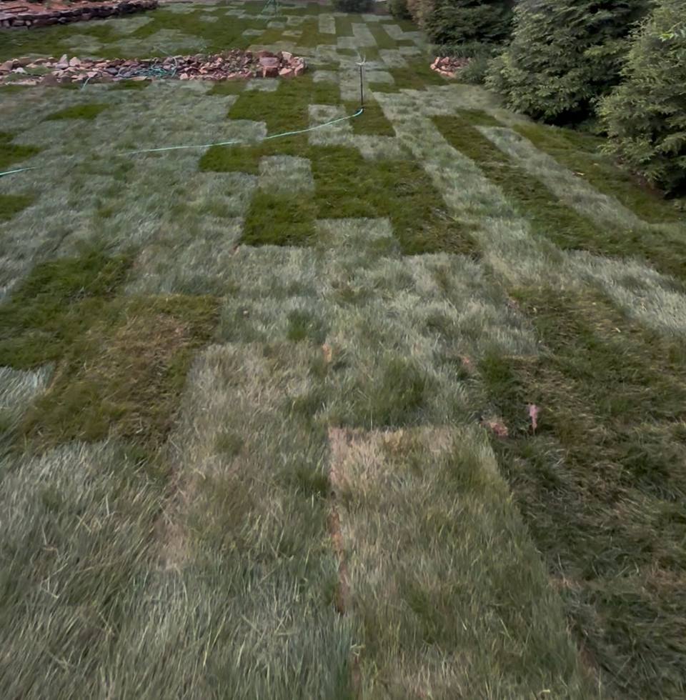 After: fresh sod laid across the same yard