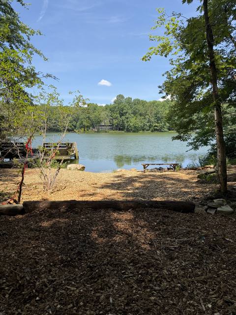 Mulched lakefront clearing