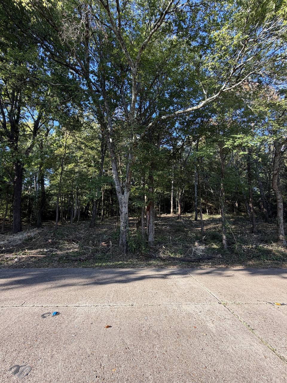 After: the same roadside woods cleared