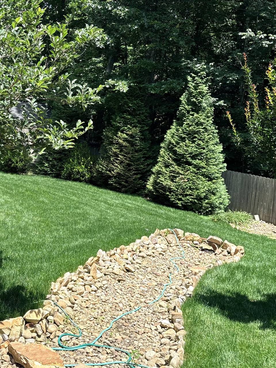 Finished sod lawn with a dry creek rock bed