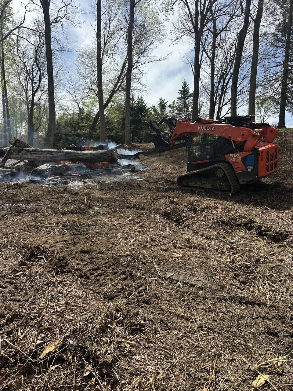 Track loader clearing a wooded lot