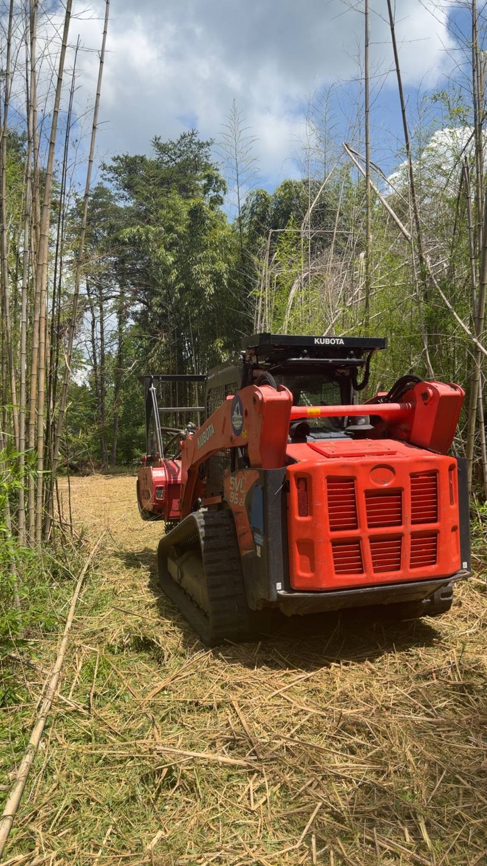 Forestry mulcher in a bamboo stand