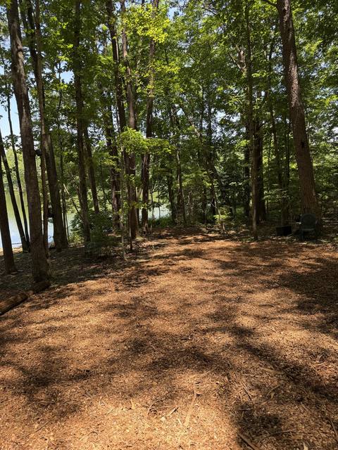 Mulched lakefront clearing